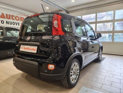 Fiat Panda 1.0 firefly hybrid s&s 70cv 5p.ti (4)