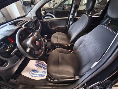 Fiat Panda 1.0 firefly hybrid s&s 70cv 5p.ti (5)