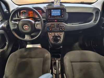 Fiat Panda 1.0 firefly hybrid s&s 70cv 5p.ti (7)