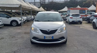 Lancia Ypsilon 1.2 69 CV 5 porte Silver usata
