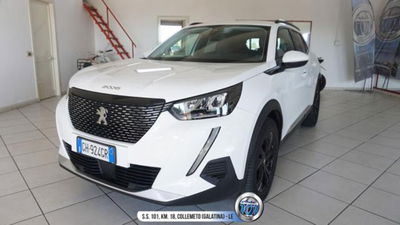 Peugeot 2008 BlueHDi 110 S&S Allure usata