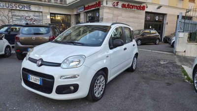 Fiat Panda 1.2 Lounge usata