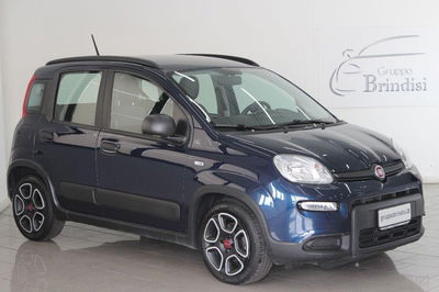 Fiat Panda 1.0 FireFly S&S Hybrid City Cross usata