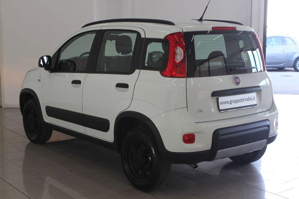 Fiat Panda 0.9 TwinAir Turbo S&S 4x4 (6)