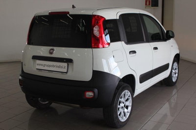 Fiat Panda 0.9 TwinAir Turbo S&S 4x4 Pop Van 2 posti (4)