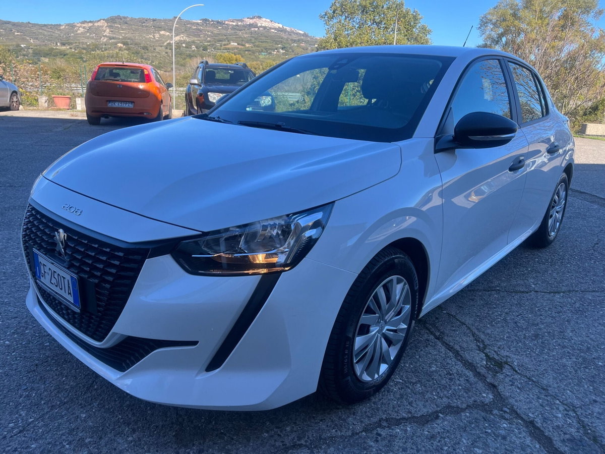 Peugeot 208 BlueHDi 100 Stop&Start 5 porte Active Pack (4)
