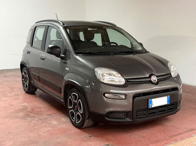 Fiat Panda 1.0 FireFly S&S Hybrid City Life usata
