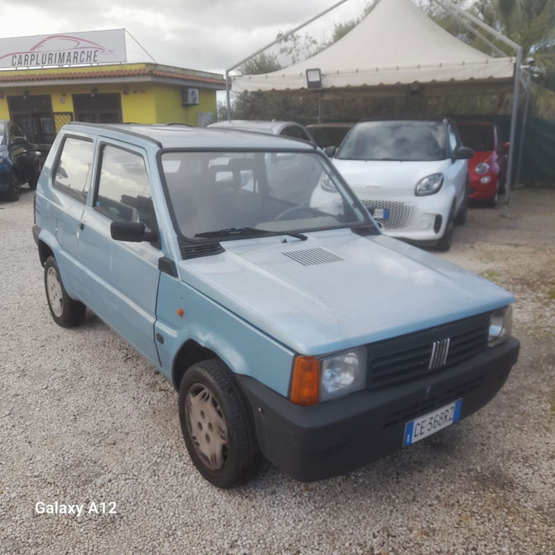 Fiat Panda 1100 i.e. cat College