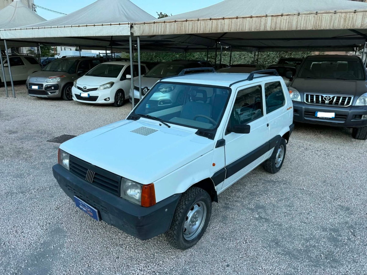 Fiat Panda 1100 i.e. cat 4x4 Trekking (2)