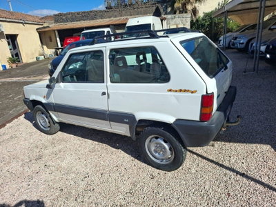 Fiat Panda 1100 i.e. cat 4x4 Trekking (2)