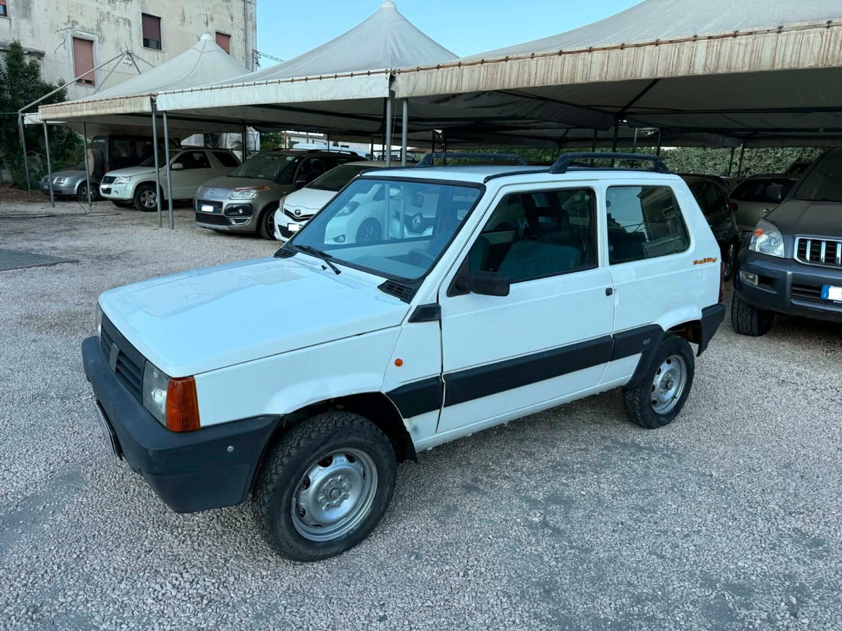 Fiat Panda 1100 i.e. cat 4x4 Trekking (4)