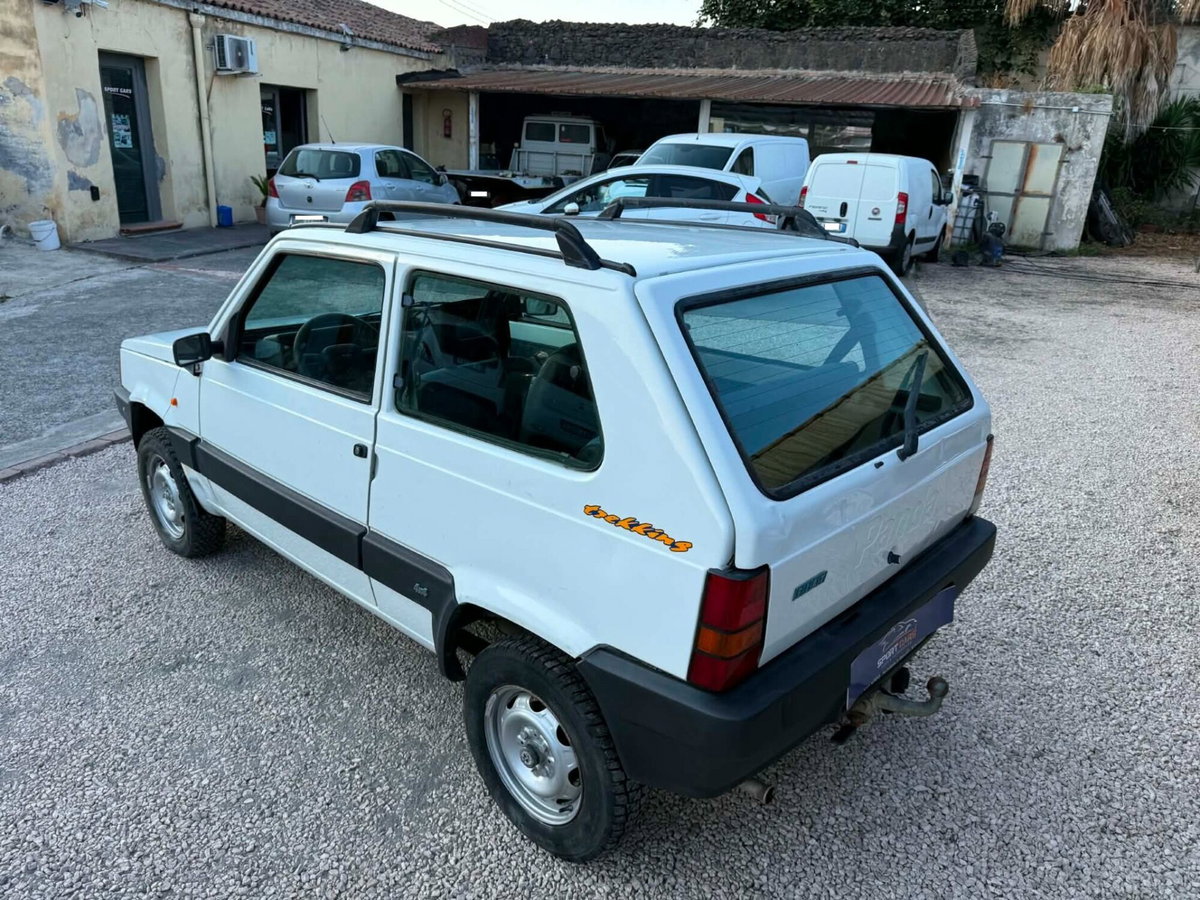 Fiat Panda 1100 i.e. cat 4x4 Trekking (6)