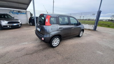 Fiat Panda 1.2 Easy (12)