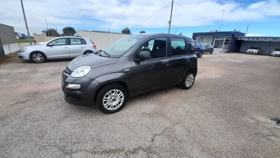 Fiat Panda 1.2 Easy (4)