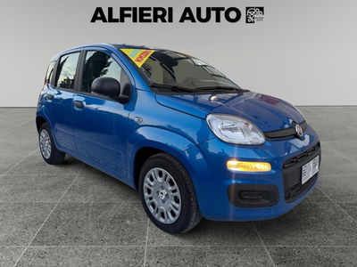 Fiat Pandina 1.0 firefly hybrid Pop s&s 65cv nuova