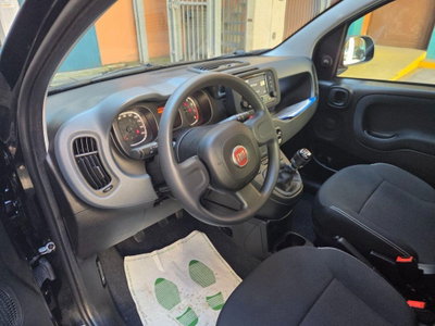 Fiat Panda 1.0 FireFly S&S Hybrid (12)