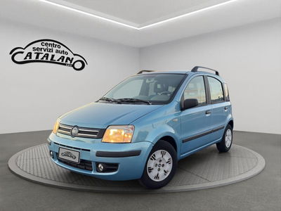 Fiat Panda 1.2 Dynamic usata