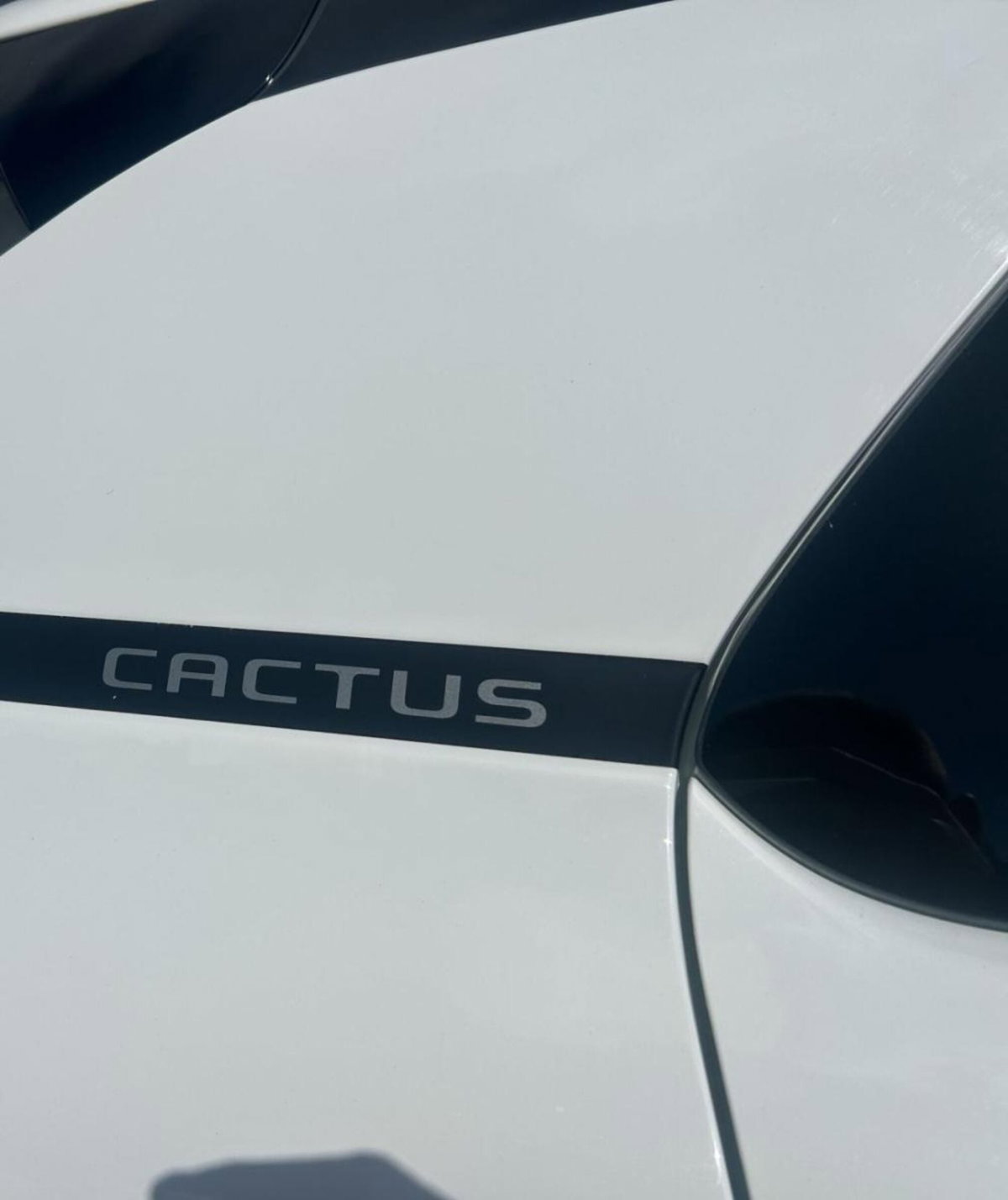 Citroen C4 Cactus BlueHDi 120 S&S EAT6 Shine (9)