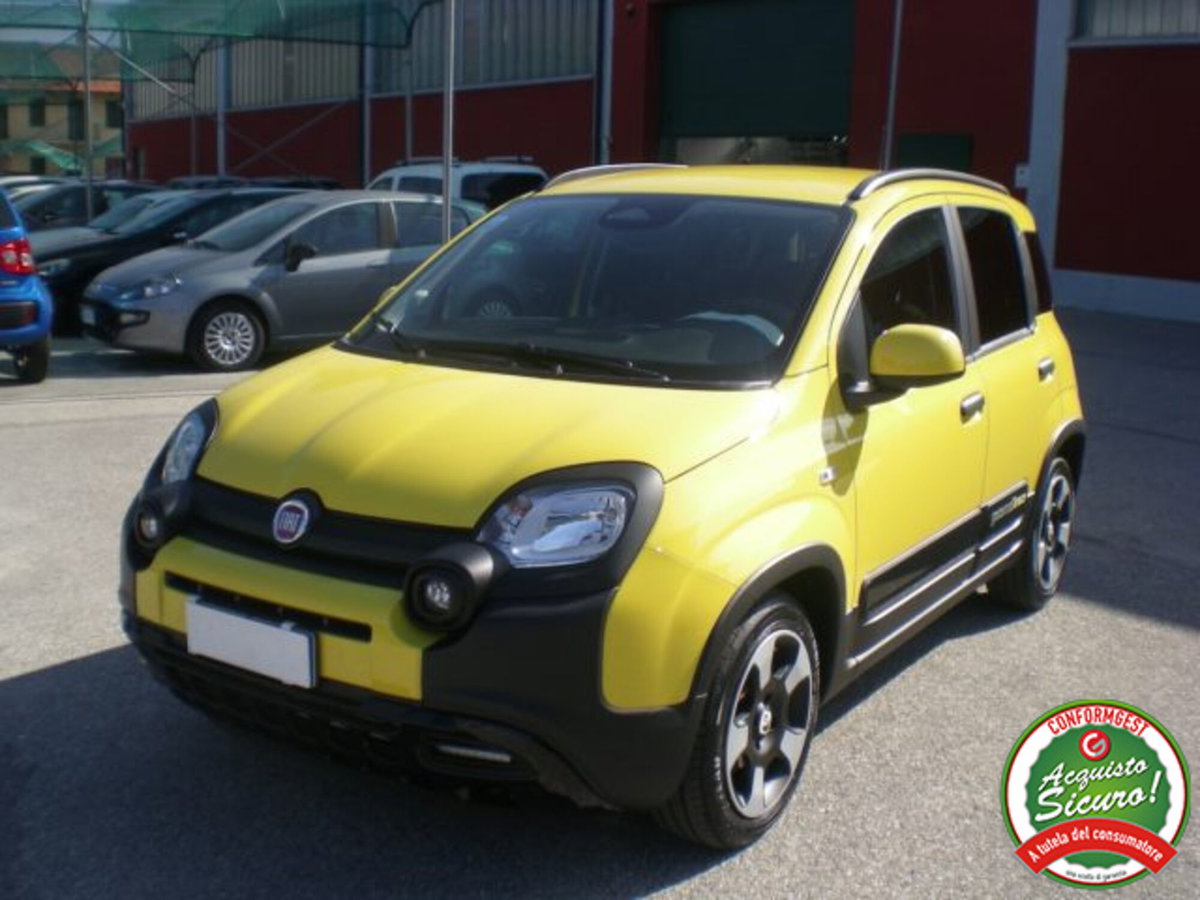 Fiat Panda 1.0 firefly hybrid s&s 70cv 5p.ti (4)