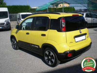 Fiat Panda 1.0 firefly hybrid s&s 70cv 5p.ti (6)