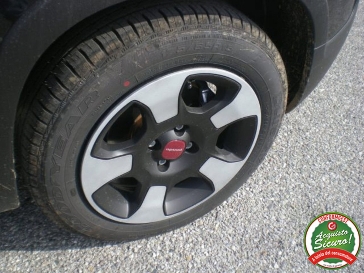 Fiat Panda Cross 1.0 firefly hybrid Cross s&s 70cv 5p.ti (10)