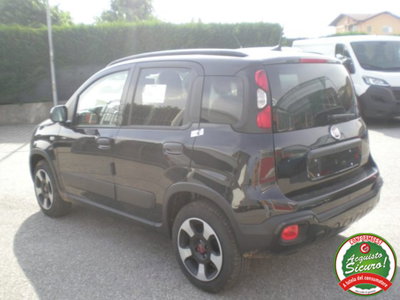 Fiat Panda Cross 1.0 firefly hybrid Cross s&s 70cv 5p.ti (6)
