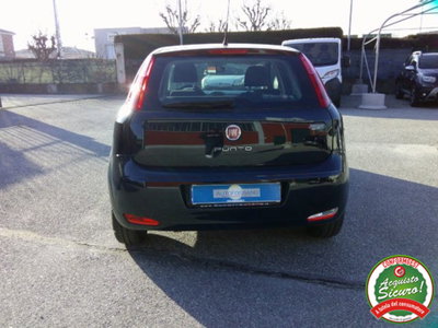 Fiat Punto 1.4 8V 5 porte Easypower Street (4)