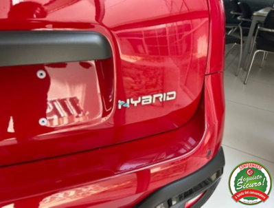 Fiat Panda Cross 1.0 firefly hybrid Cross s&s 70cv 5p.ti (17)