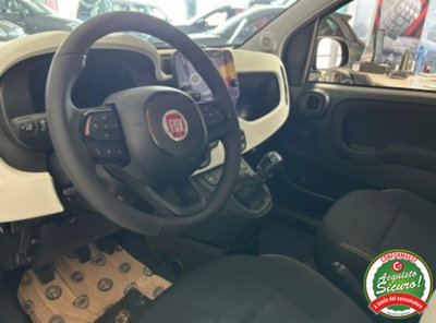 Fiat Panda Cross 1.0 firefly hybrid Cross s&s 70cv 5p.ti (7)