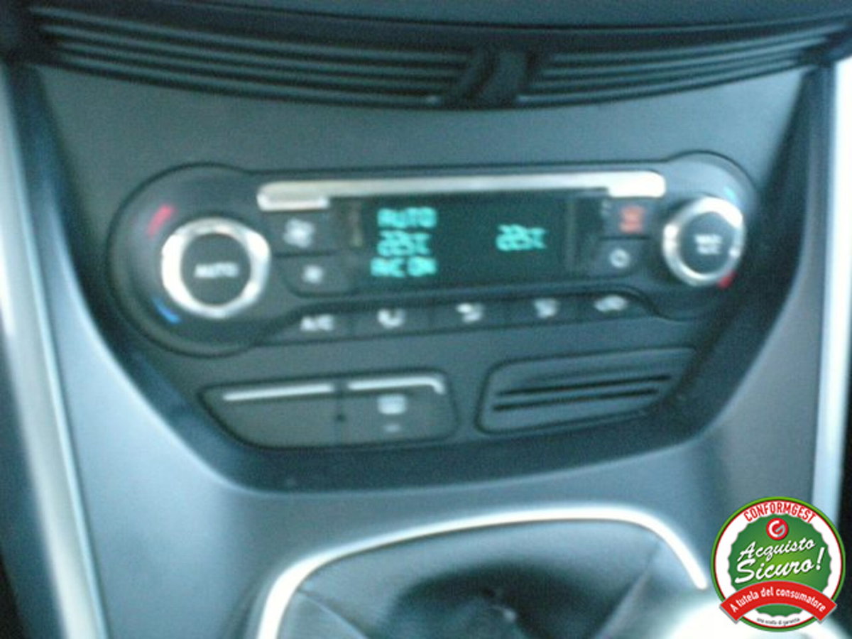 Ford C-Max 1.6 TDCi 115CV Titanium (17)