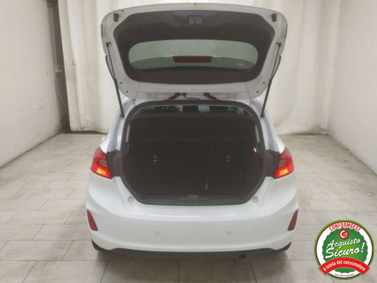 Ford Fiesta 1.0 Ecoboost Hybrid 125 CV 5 porte Titanium (10)