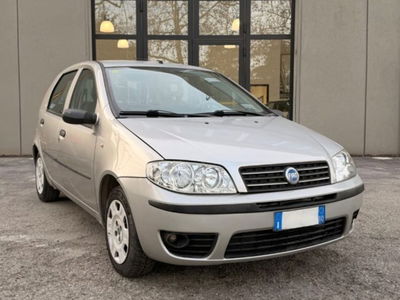 Fiat Punto 1.2 5 porte Active Natural Power usata