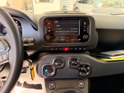 Fiat Panda 1.0 firefly hybrid Icon s&s 70cv (14)
