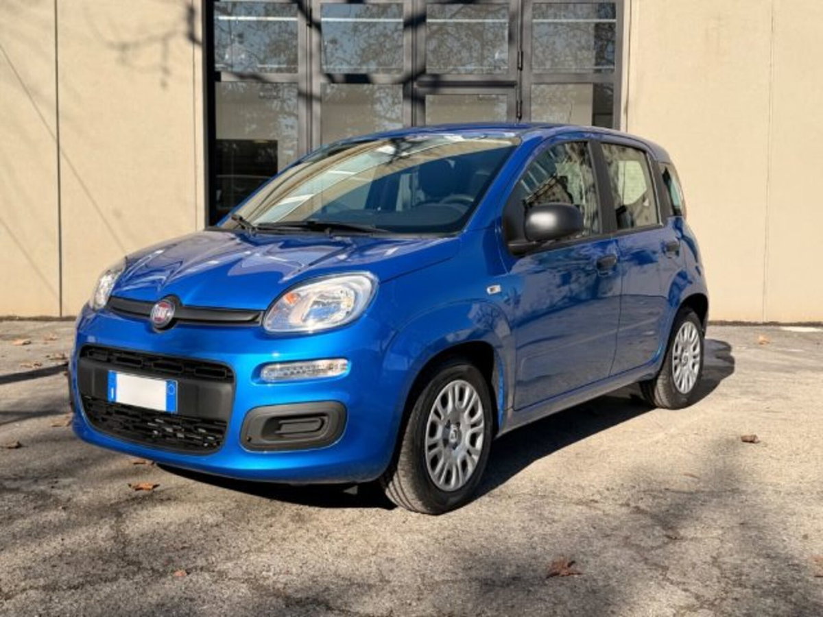 Fiat Panda 1.0 firefly hybrid Icon s&s 70cv (3)