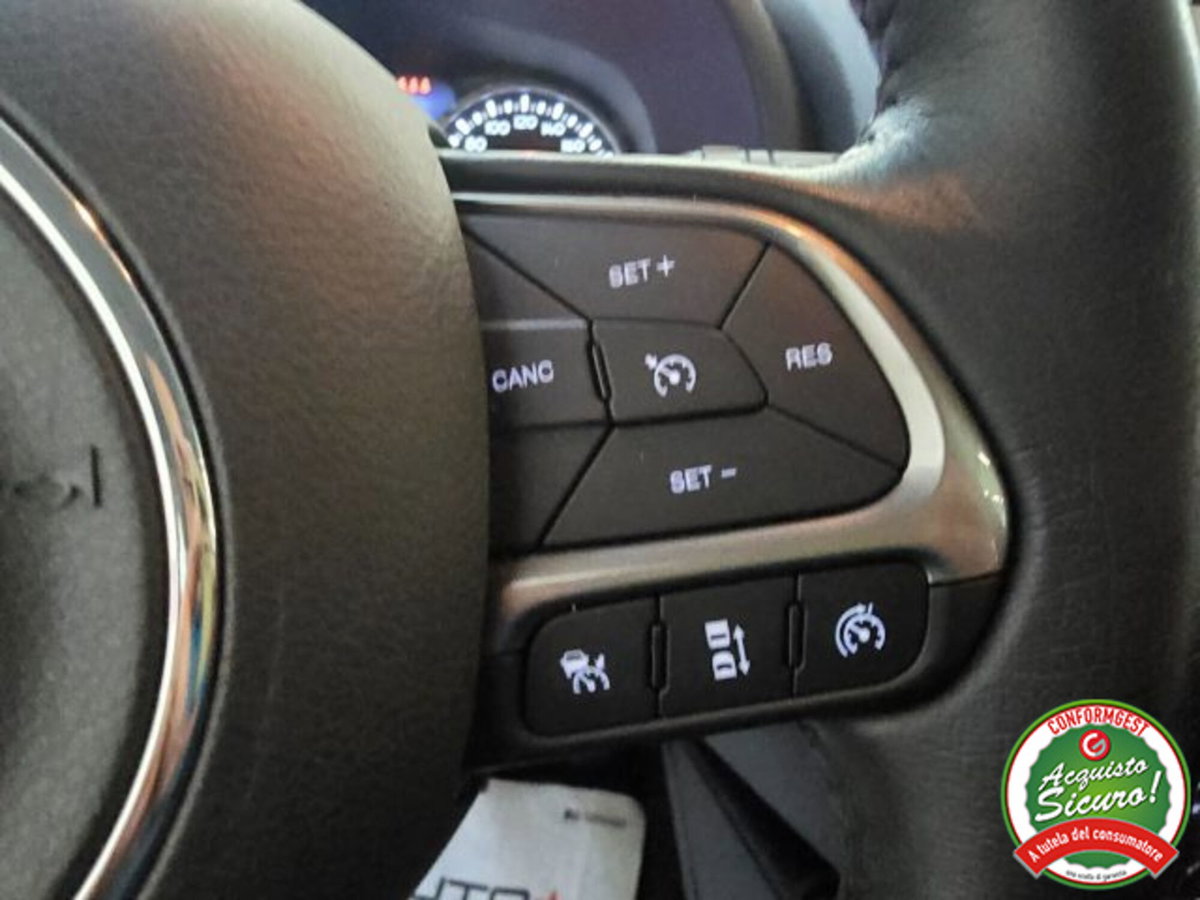 Jeep Renegade 1.6 Mjt 120 CV Limited (15)
