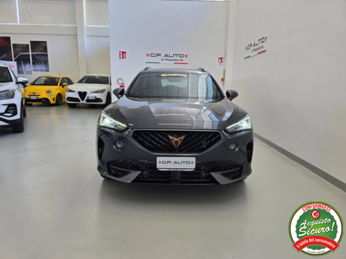 Cupra Formentor Formentor 2.0 tdi 4drive 150cv dsg (2)