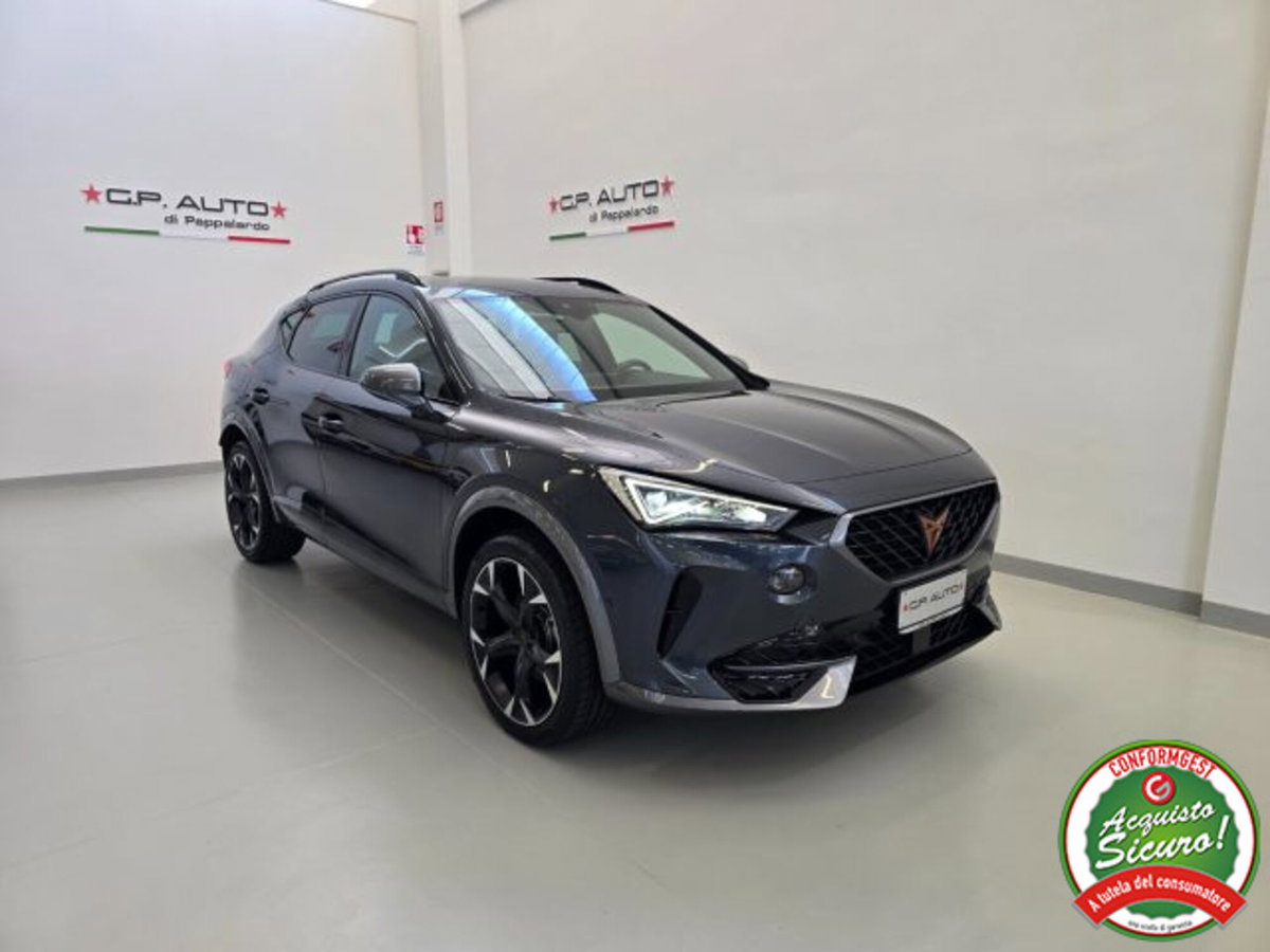 Cupra Formentor Formentor 2.0 tdi 4drive 150cv dsg (3)
