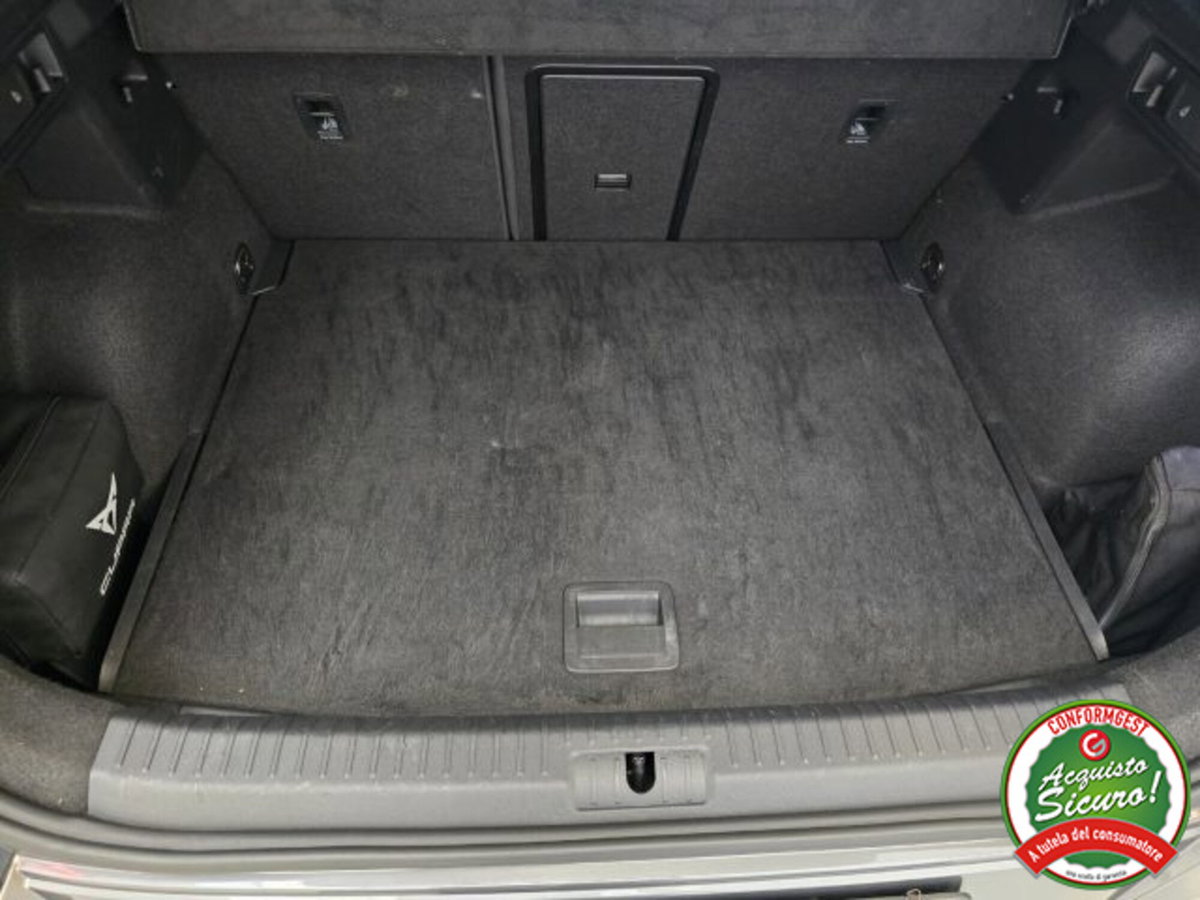 Cupra Formentor Formentor 2.0 tdi 4drive 150cv dsg (9)