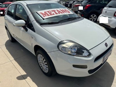Fiat Punto 1.4 8V 5 porte Natural Power Easy usata