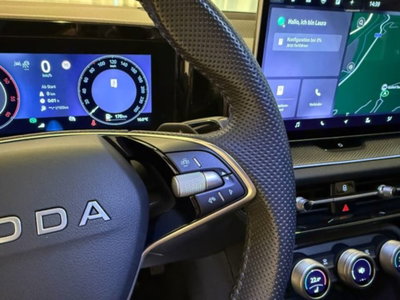 Skoda Kodiaq 2.0 TDI EVO SCR DSG Executive (13)