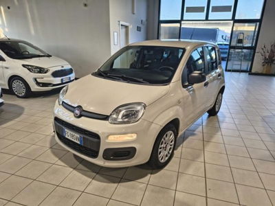 Fiat Panda 1.2 Easy usata