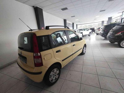 Fiat Panda 1.2 Dynamic usata