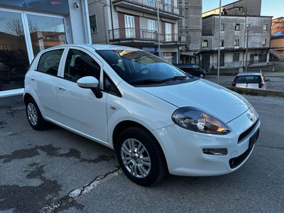 Fiat Punto 1.4 8V 5 porte Natural Power Young usata