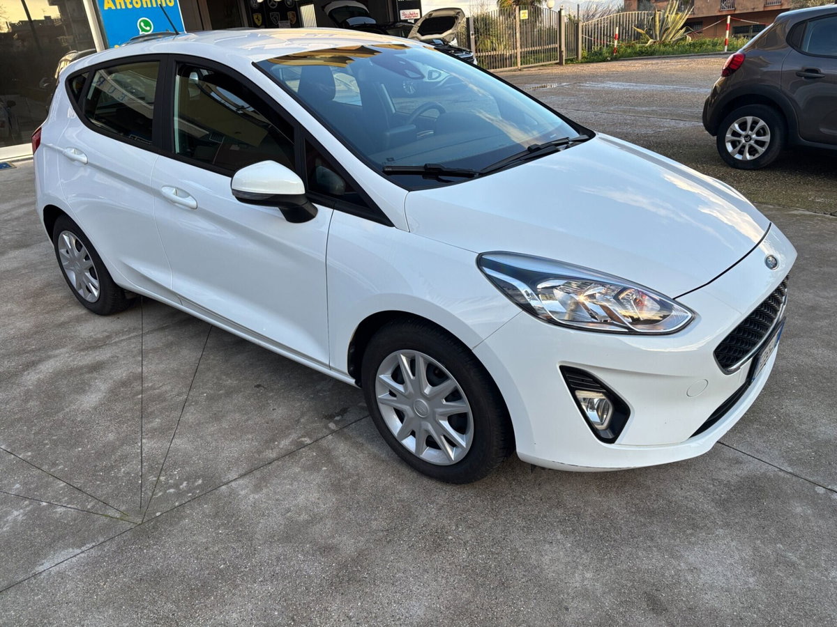 Ford Fiesta 1.5 EcoBlue 5 porte Business High (3)