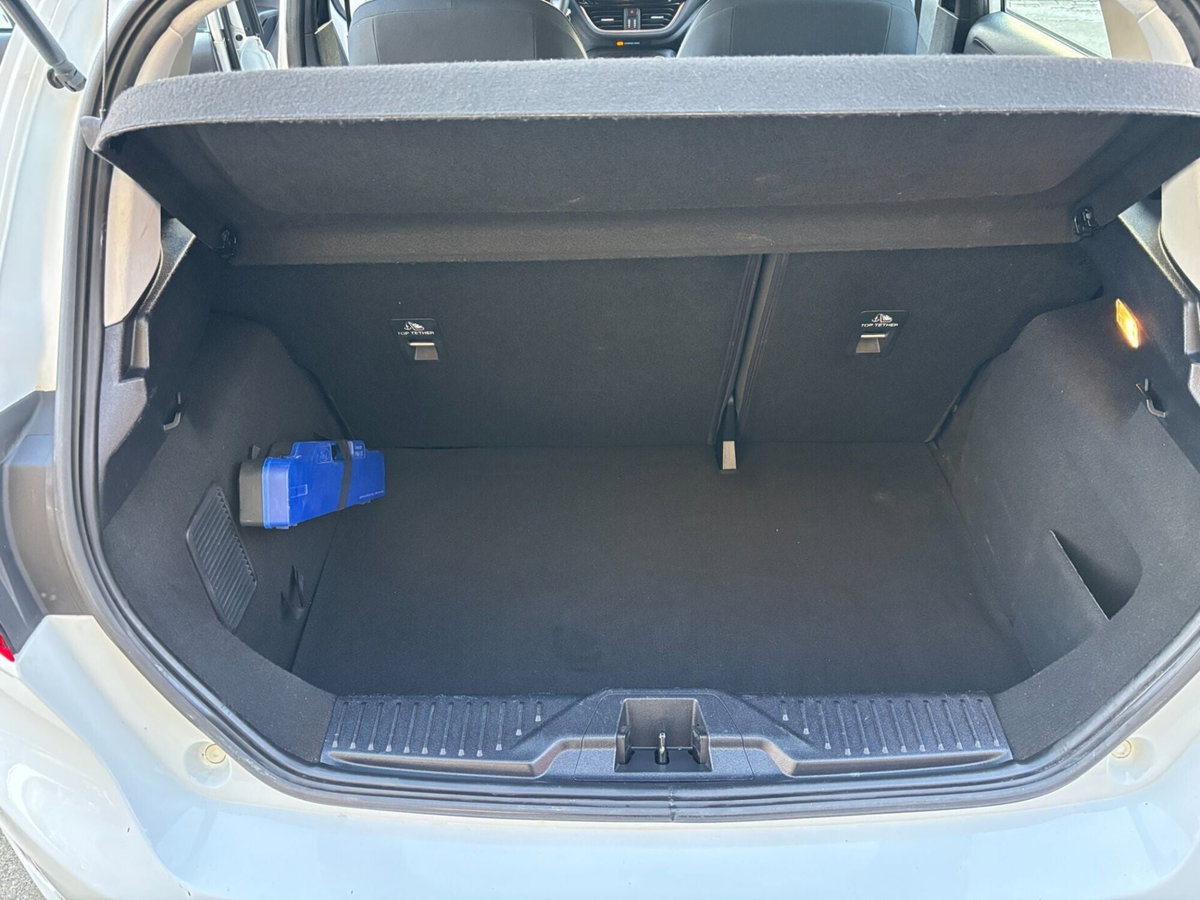 Ford Fiesta 1.5 EcoBlue 5 porte Business High (9)