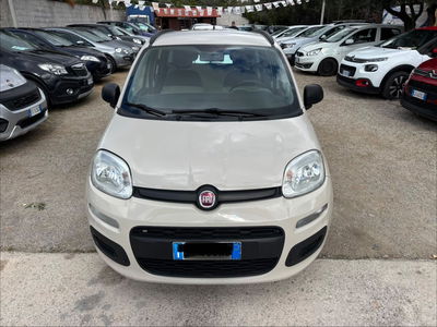 Fiat Panda 1.2 EasyPower Lounge usata