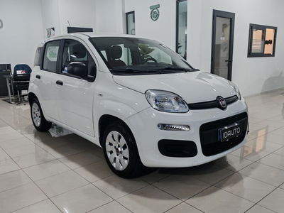 Fiat Panda 1.2 Pop usata