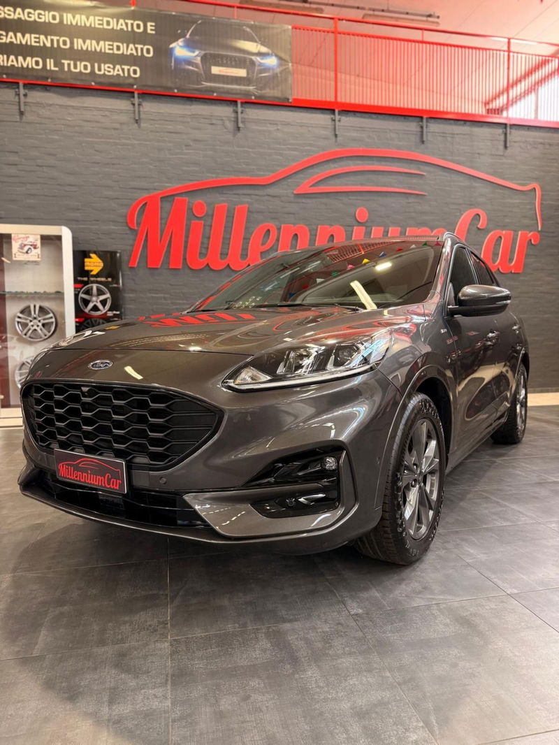 Ford Kuga 1.5 EcoBlue 120 CV 2WD ST-Line
