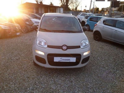 Fiat Panda 1.2 Easy usata