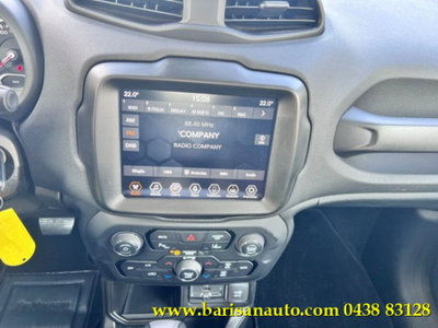 Jeep Renegade 1.5 Turbo T4 MHEV Limited (12)